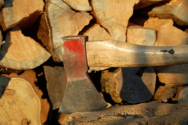 Holz Stämme Baumstamm — Stockfoto