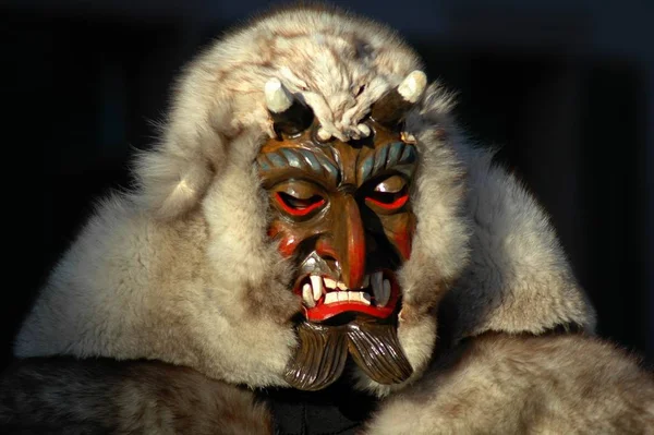 Porträt Eines Löwen Mit Maske — Stockfoto