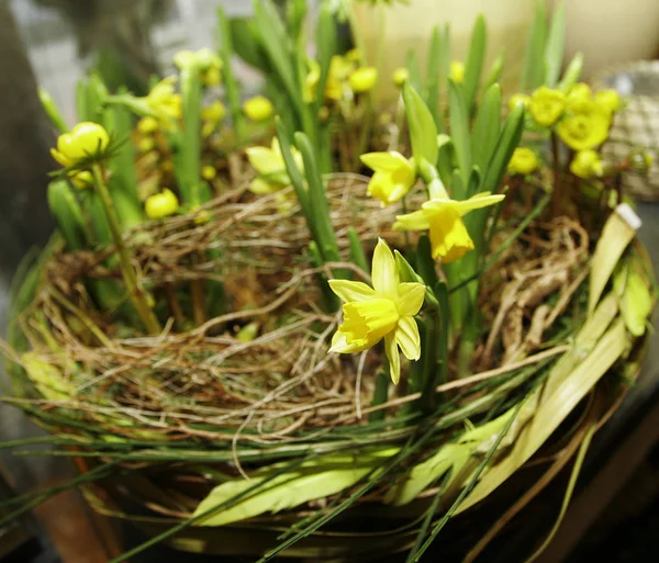 Färgglada Bakgrund För Alla Hjärtans Dag Kort — Stockfoto