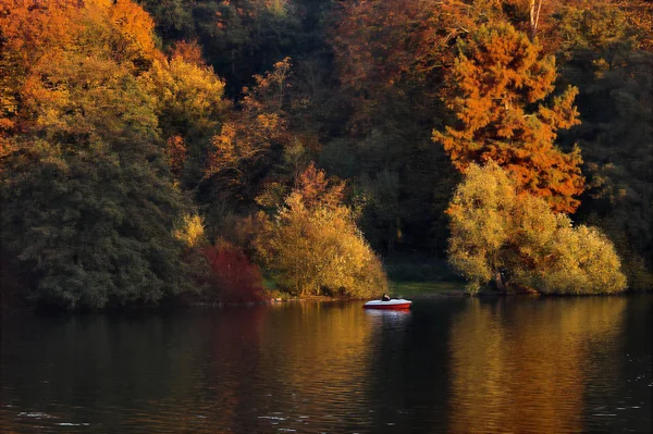 Atmosfera Autumnal Foco Seletivo — Fotografia de Stock