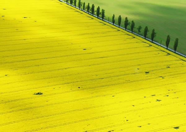 Schöne Aussicht Auf Die Naturlandschaft — Stockfoto