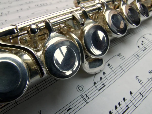 Instrumento Música Antiga Com Notas Musicais — Fotografia de Stock
