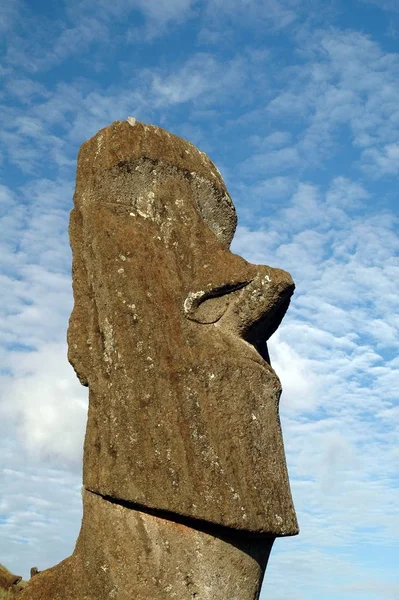 Rano Raraku Kraterinde Moai — Stok fotoğraf
