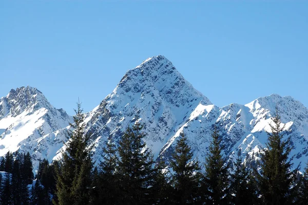 Alplerin Arka Planında Güzel Manzara — Stok fotoğraf