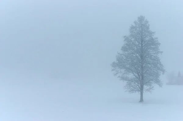 Yılbaşı Yeni Yıl Kartı Için Renkli Bir Geçmiş — Stok fotoğraf