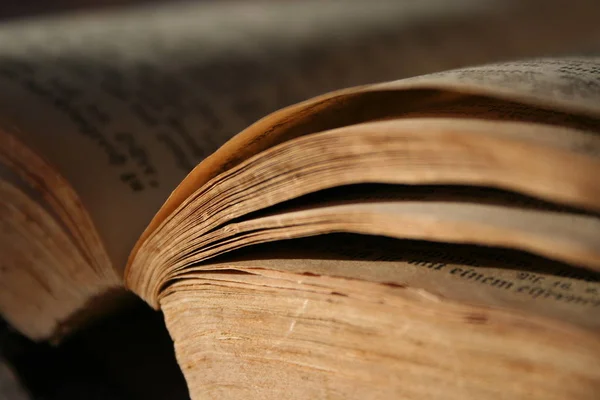 Viejo Libro Con Páginas Gruesas Los Libros Atados — Foto de Stock