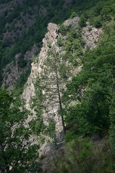 Vale Bode Nas Montanhas Harz Perto Thale — Fotografia de Stock