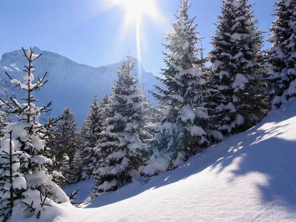 Vue Panoramique Sur Magnifique Paysage Alpin — Photo