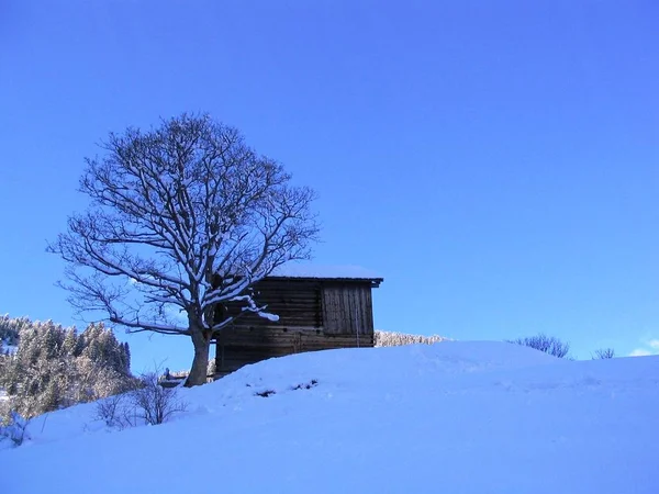 Vista Panorámica Del Hermoso Paisaje Los Alpes — Foto de Stock