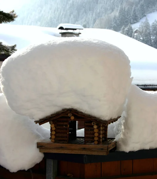 Österreich Hat Derzeit Nicht Mit Den Schneemassen Kämpfen Auch Dieser — Stockfoto