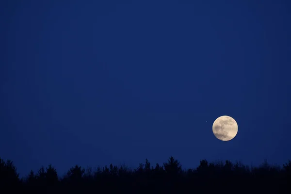 Lua Planeta Lunar Astronomia — Fotografia de Stock