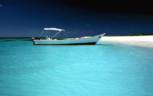 Maldives Beautiful Beach Background Sunny Tropical Paradise Island Blue Sky — Stock Photo, Image