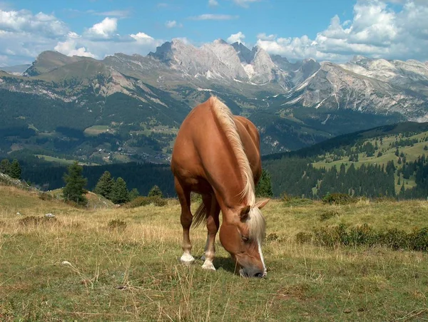 Malowniczy Widok Majestatyczny Krajobraz Dolomitów Włochy — Zdjęcie stockowe