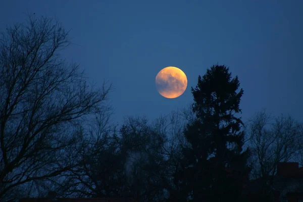 Sky Moon Lunar Light — Stock Photo, Image