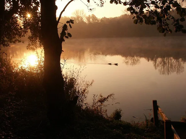 Beautiful Lake Summer Time — Stock Photo, Image