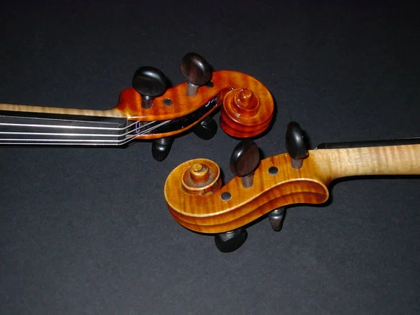 Violin Musikinstrument Närbild — Stockfoto