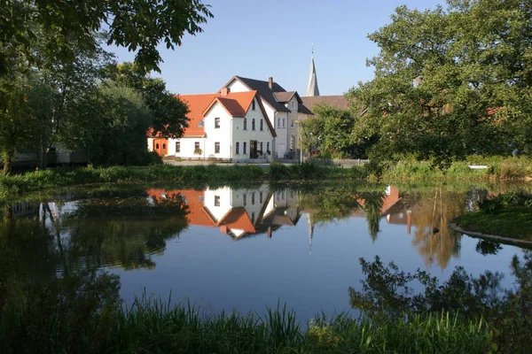 Stagno Della Mente Alverdissen Kreis Lippe Nrw — Foto Stock