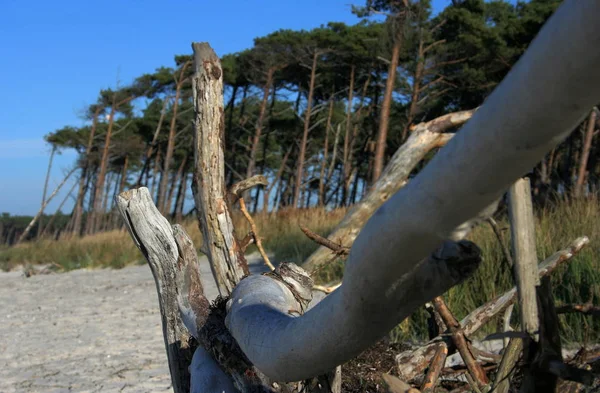 Schöne Aussicht Auf Die Natur — Stockfoto