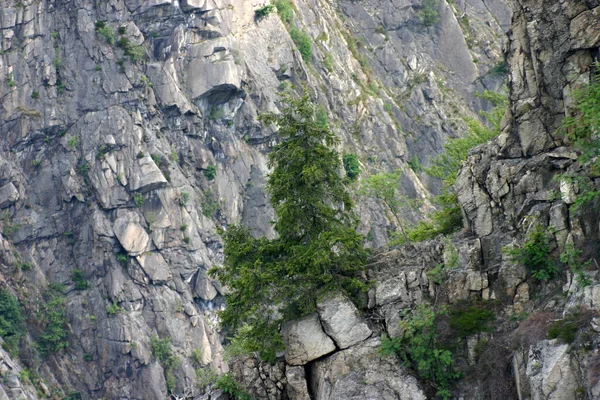 Vale Bode Nas Montanhas Harz Perto Thale — Fotografia de Stock