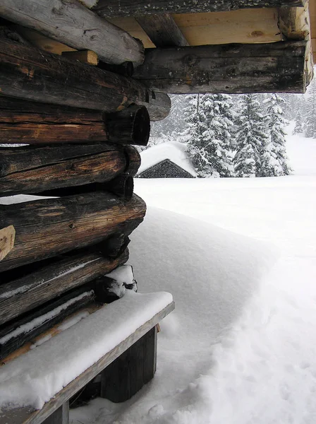 Vista Uma Cena Inverno — Fotografia de Stock