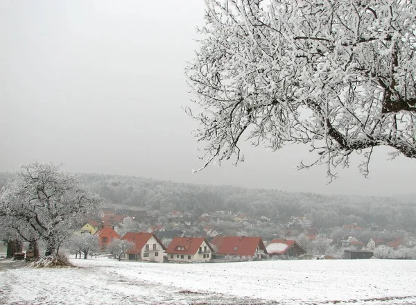 Prachtig Besneeuwd Winterlandschap — Stockfoto