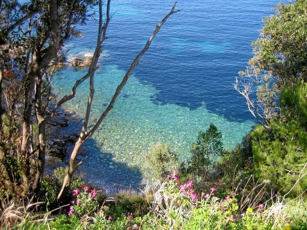 Paisagem Costeira Férias Natureza Verão — Fotografia de Stock