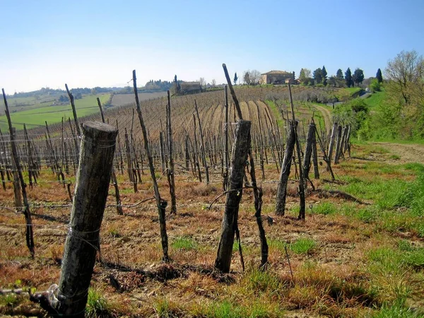Vinařské Cestě Chianti — Stock fotografie
