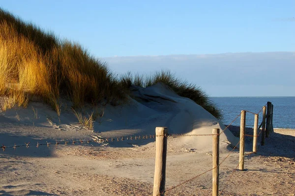 Panoramisch Uitzicht Duinen Selectieve Focus — Stockfoto