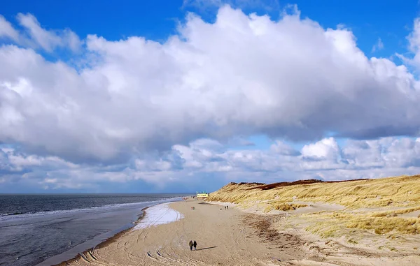 Scenic View Dunes Selective Focus — Stock Photo, Image