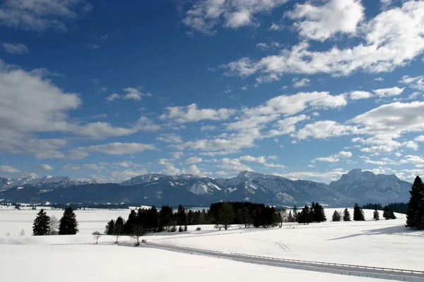 Vista Panorámica Del Hermoso Paisaje Los Alpes —  Fotos de Stock