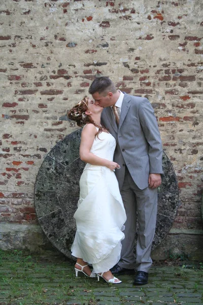 Wedding Photo Wedding Marriage — Stock Photo, Image