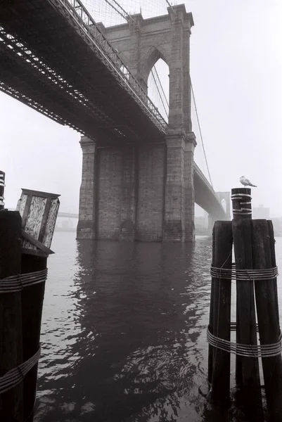 Vue Panoramique Paysage Urbain New York Etats Unis — Photo