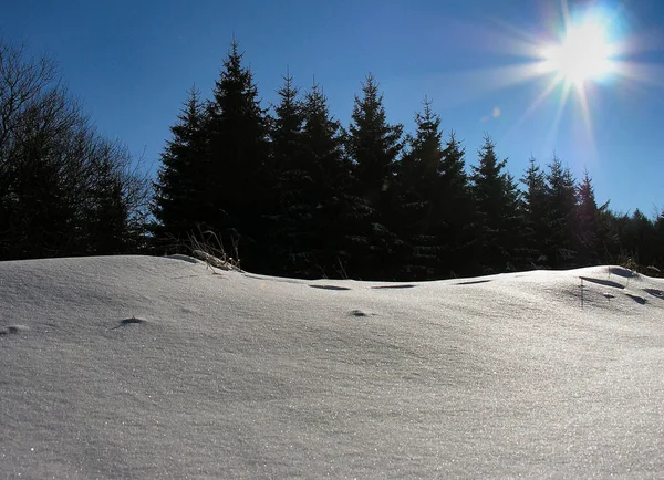 Bellissimo Paesaggio Invernale Innevato — Foto Stock