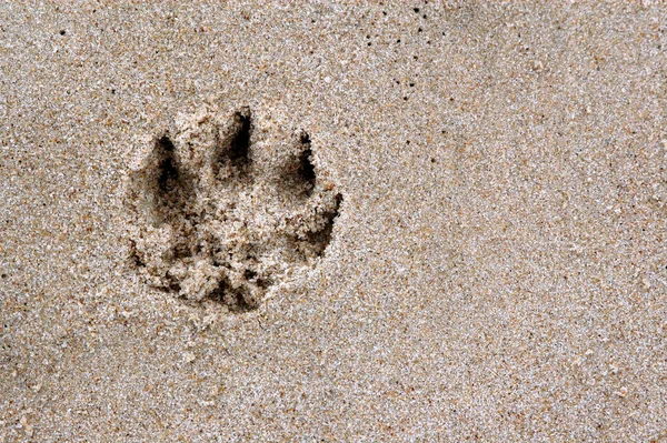 Piasek Jest Symbolem Alfabetu Plaży — Zdjęcie stockowe