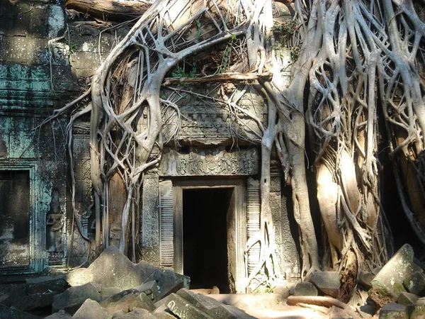 Templo Overgrown Angkor Cambodia — Fotografia de Stock
