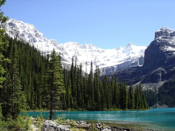 加拿大是北美北部的一个国家 — 图库照片