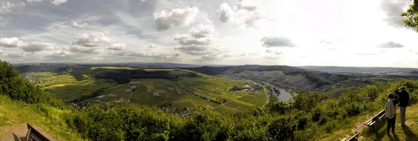 Mosel Vale Rio Vinha Vinhas Panorama Mittelmosel Trier Vinho Tinto — Fotografia de Stock