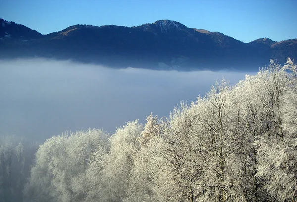 Manhã Nevoeiro Schwyz — Fotografia de Stock