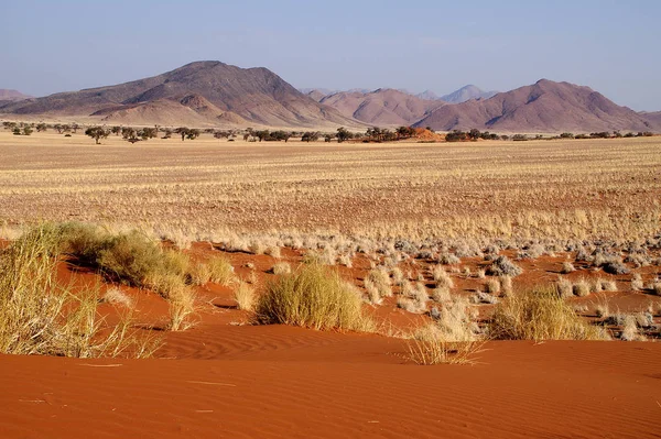Terenie Gospodarstwa Weltevrede Pensjonat Wschodnim Skraju Pustyni Namib Patrząc Kierunku — Zdjęcie stockowe