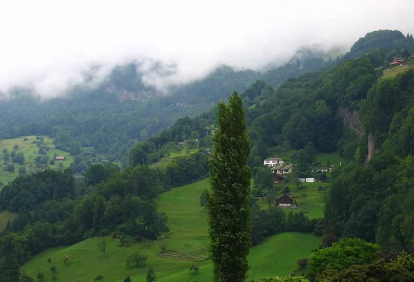 写真は雷雨の後の朝にビツナウ スイスで撮影されたものだ — ストック写真