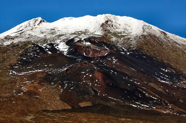 Teneriffa Carnaval Santa Cruz Ist Die Größte Der Spanischen Kanarischen — Stockfoto