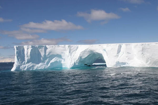 Iceberg Gelo Congelado Inverno Neve — Fotografia de Stock