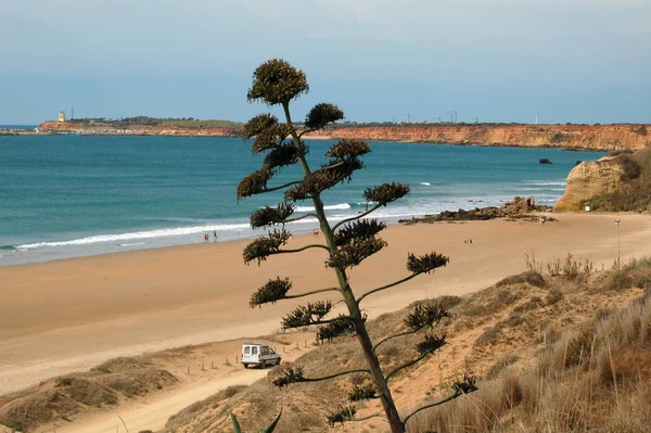 Vista Panoramica Della Spiaggia Sogno — Foto Stock