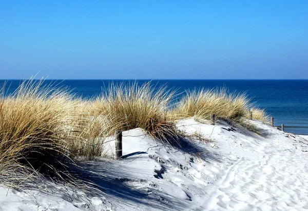 レッゲン島 バルト海 メクレンブルクのリゾート地 — ストック写真