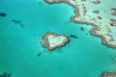 heart reef from above clipart