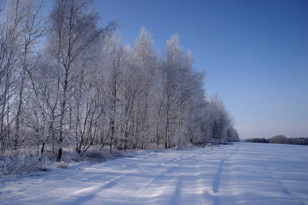 Vintermagi Snötäckt Natur — Stockfoto