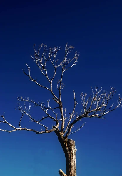 Bella Vista Sulla Natura — Foto Stock