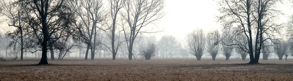 Krásný Výhled Přírodu — Stock fotografie