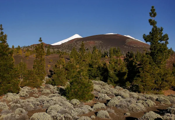 Fuoco Ghiaccio Sul Monte Teide — Foto Stock