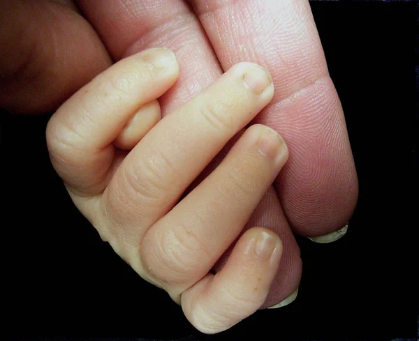 Schattig Familieportret Gelukkig Ouderschap Concept — Stockfoto